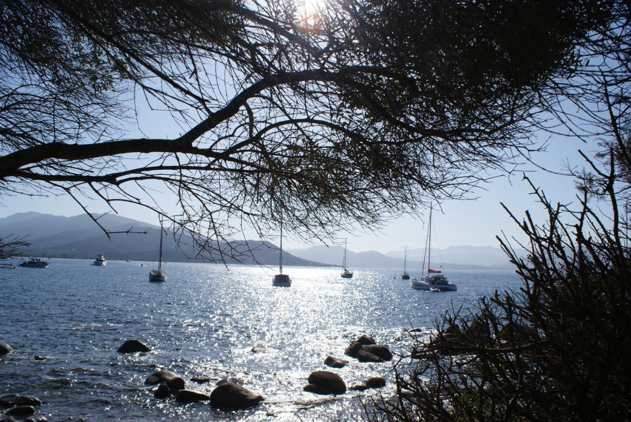 Appartamento A Casa Nèra Porto Pollo Esterno foto